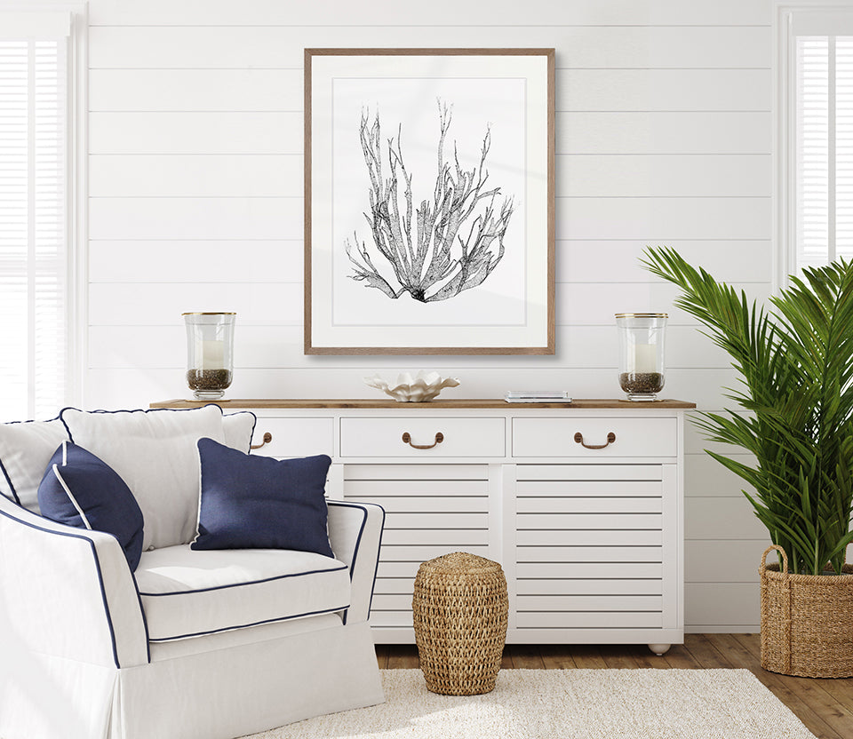Delicate Charcoal Seaweed I