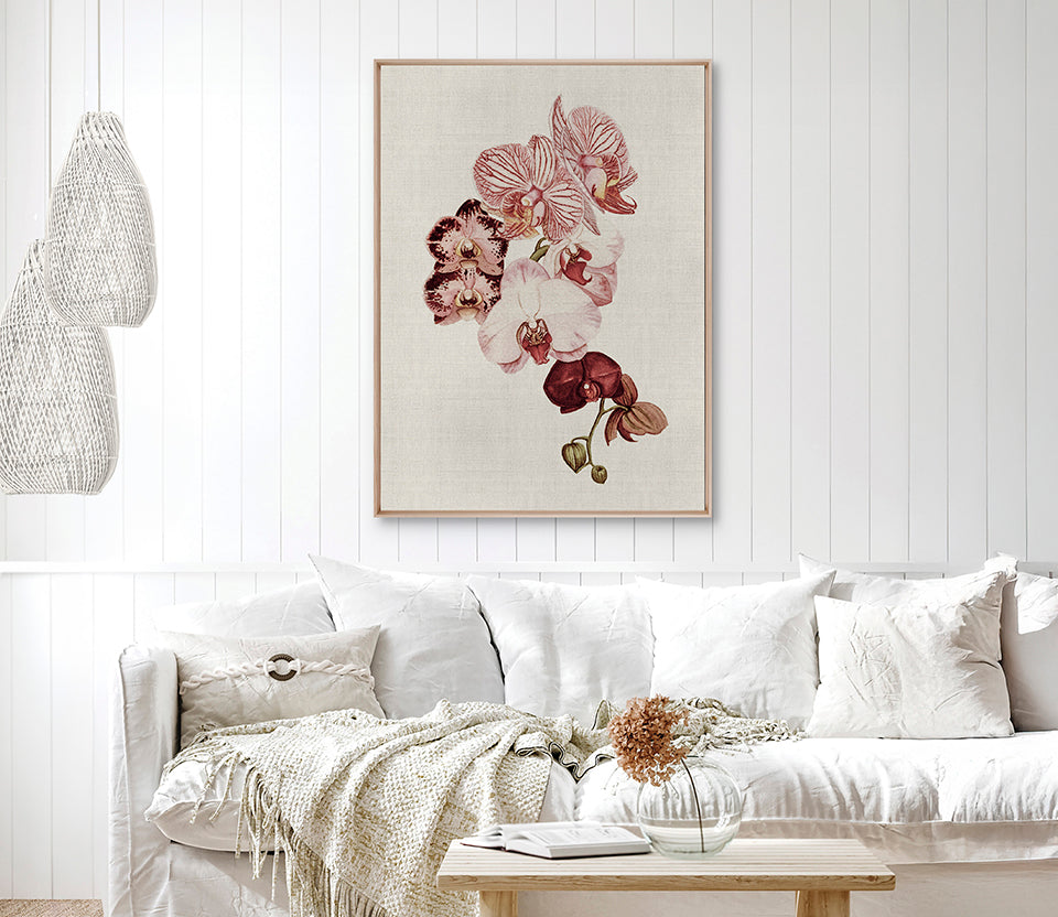 Delicate Orchid Bouquet I (Canvas)