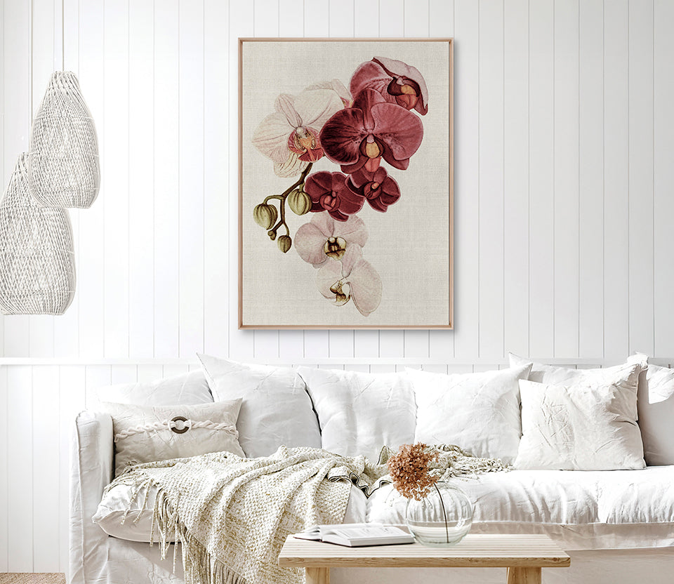 Delicate Orchid Bouquet II Canvas