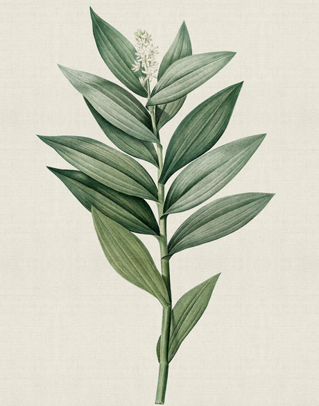 Tiverton Floral III