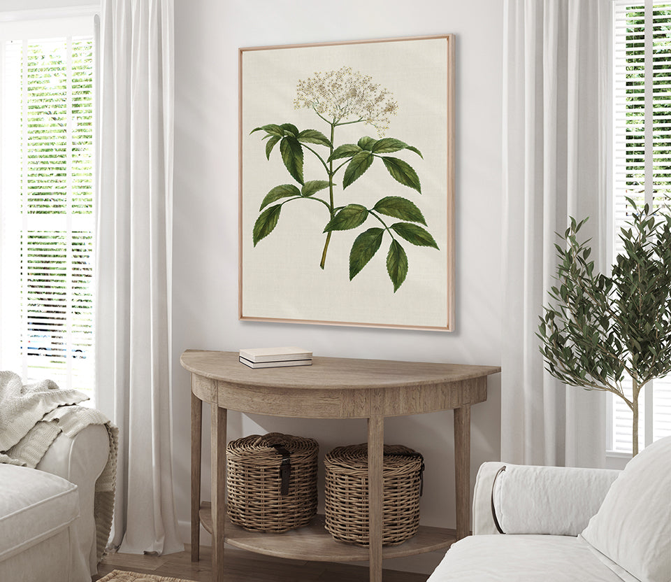 Tiverton Floral V (Canvas)