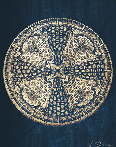 Le Diatomee III (Canvas)