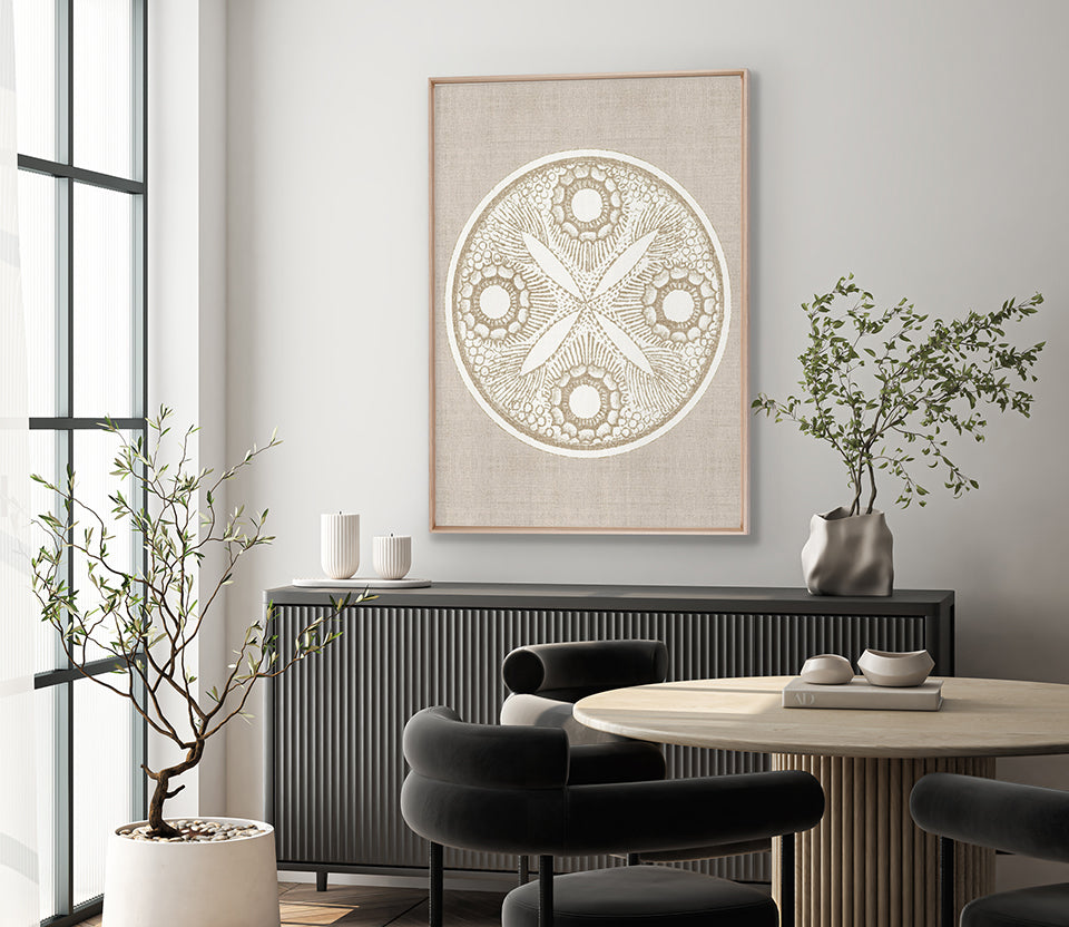 Le Diatomee V (Canvas)