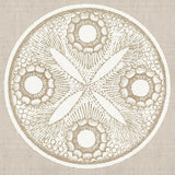 trow05-c-l_3
