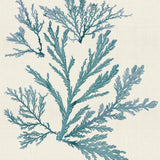 var01_3