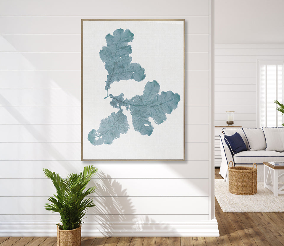 Seaweed Subject II (Blue) (Canvas)