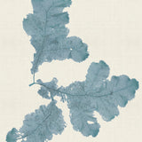 var02_3