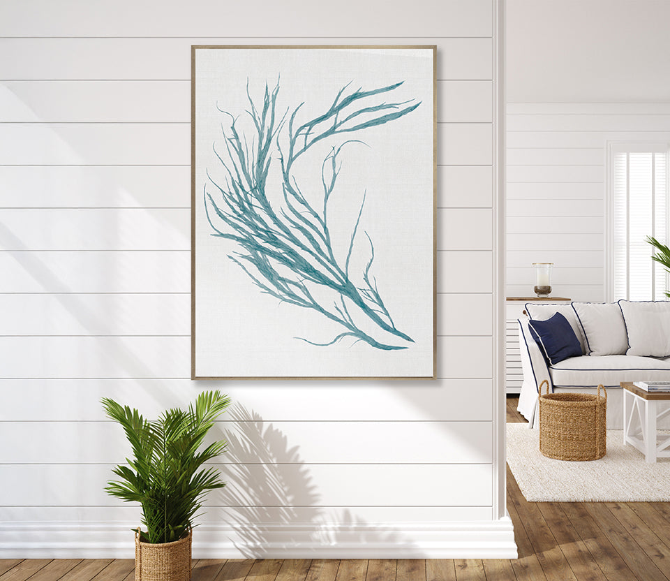 Seaweed Subject III (Blue) (Canvas)