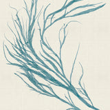 var03-c_3