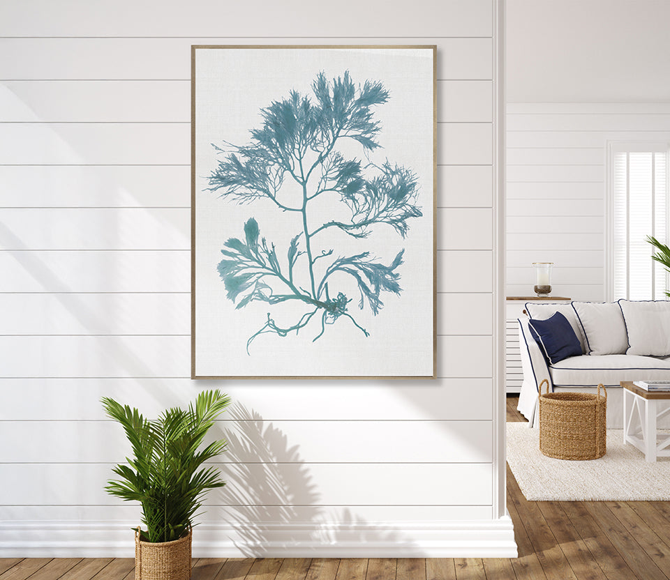 Seaweed Subject IV (Blue) (Canvas)
