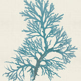 var05_3