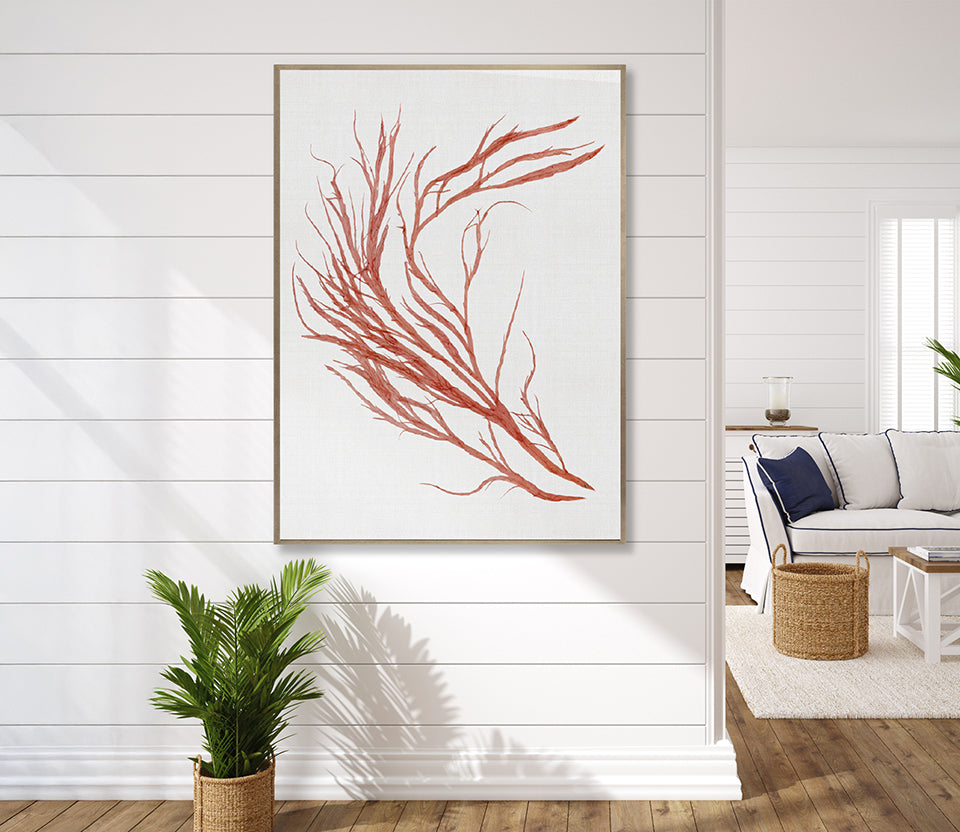 Seaweed Subject IX (Red) (Canvas)