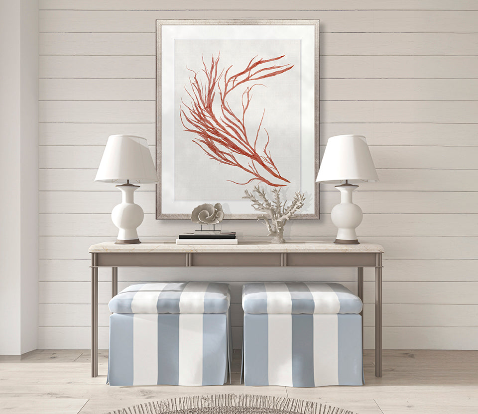 Seaweed Subject IX (Red)