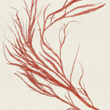 var09_3