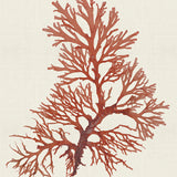 var11_3