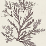 var13_3
