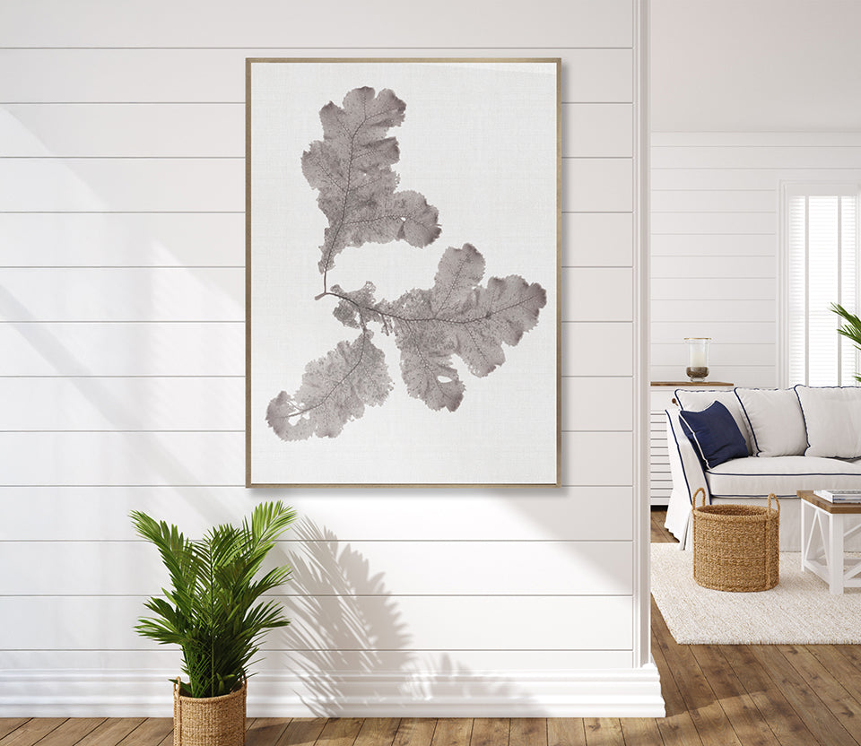 Seaweed Subject XIV (Taupe) (Canvas)