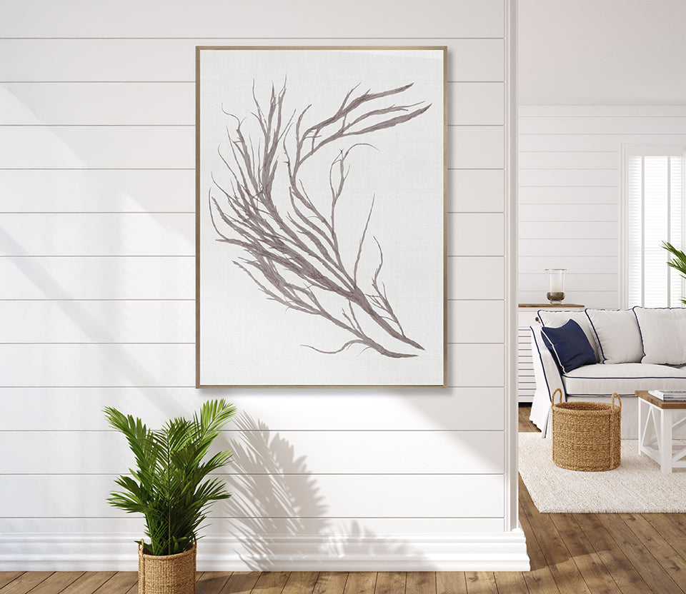 Seaweed Subject XV (Taupe) (Canvas)