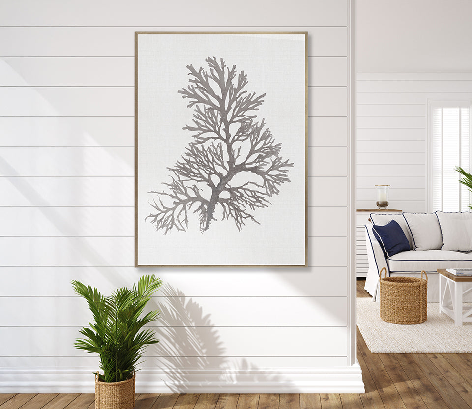 Seaweed Subject XVII (Taupe) (Canvas)