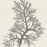 var17-c_3
