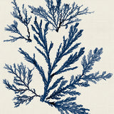 var19_3