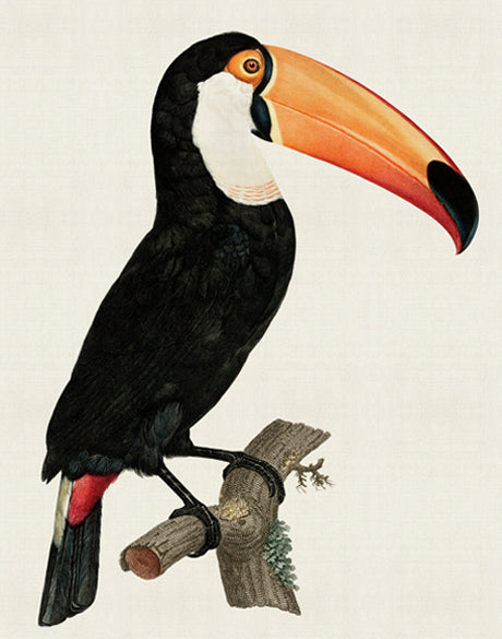 Forest Bird I (Canvas)