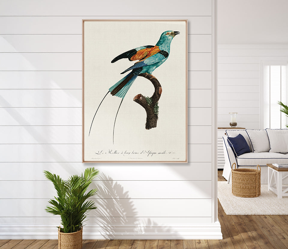 Forest Bird II (Canvas)