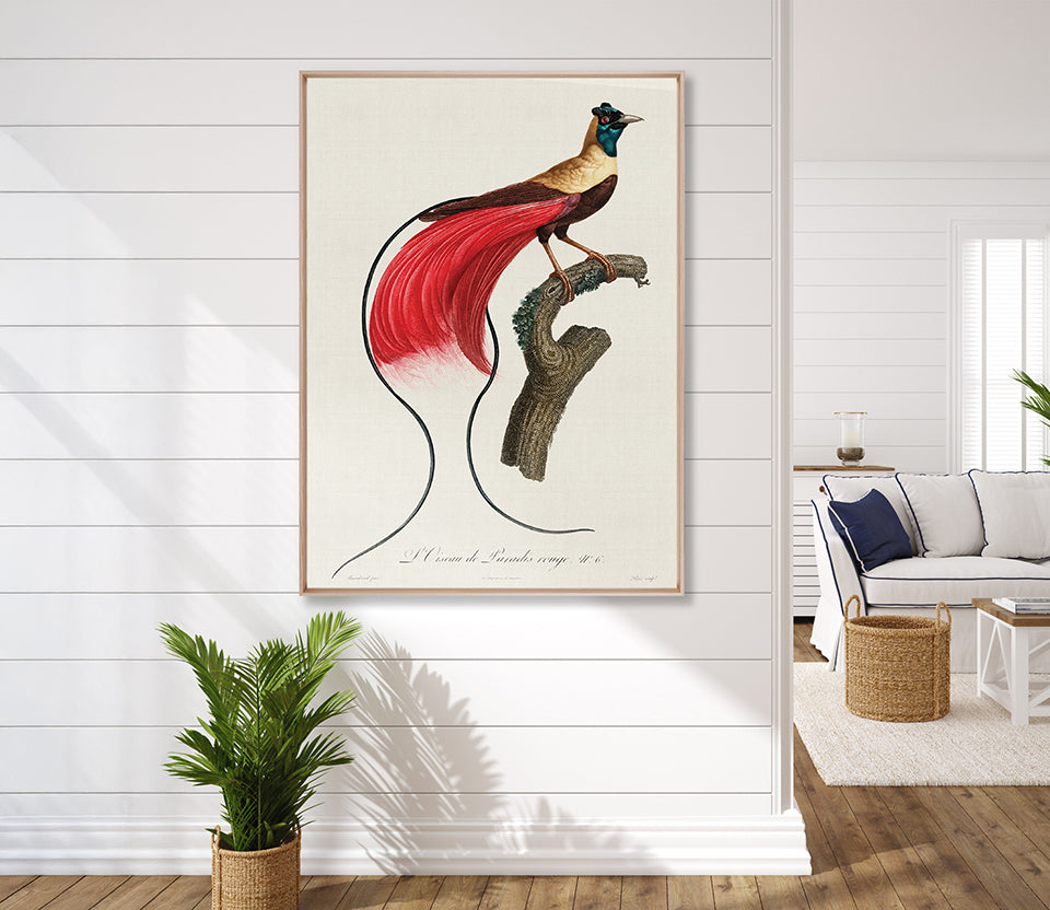 Forest Bird IV (Canvas)