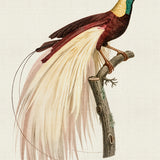 ven05_3