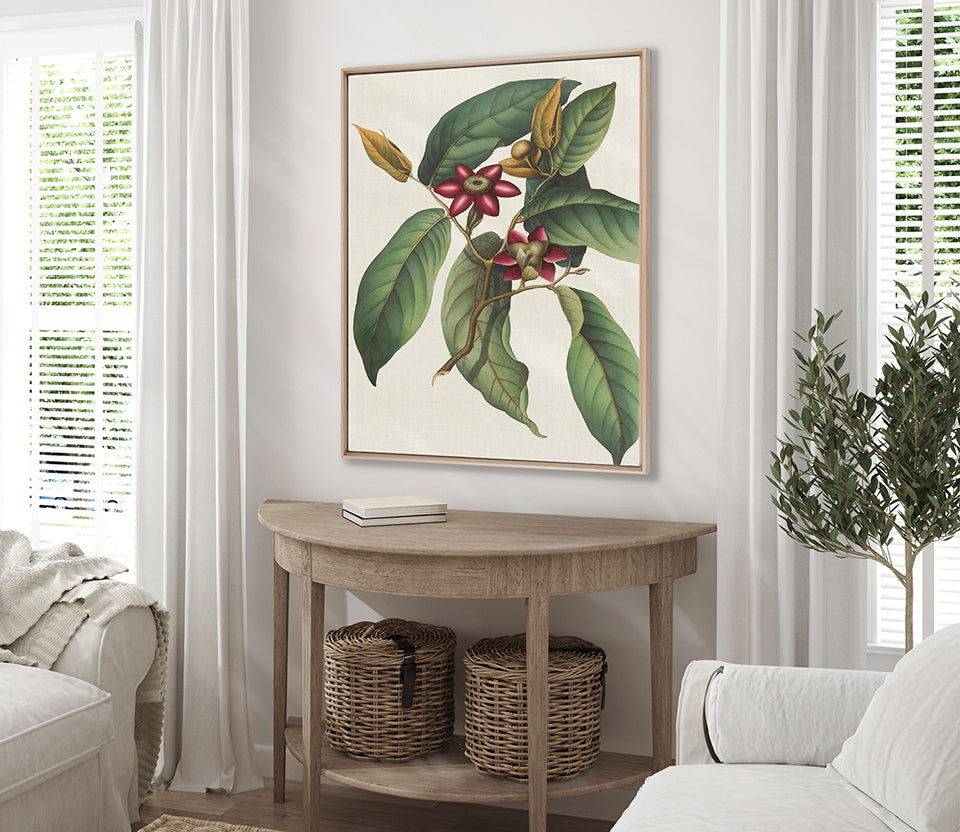 Botanical Specimen II (Canvas)