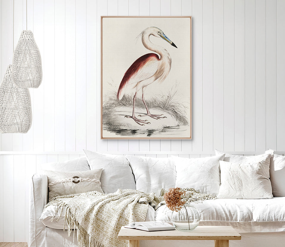 Vintage Waterbird I (Canvas)