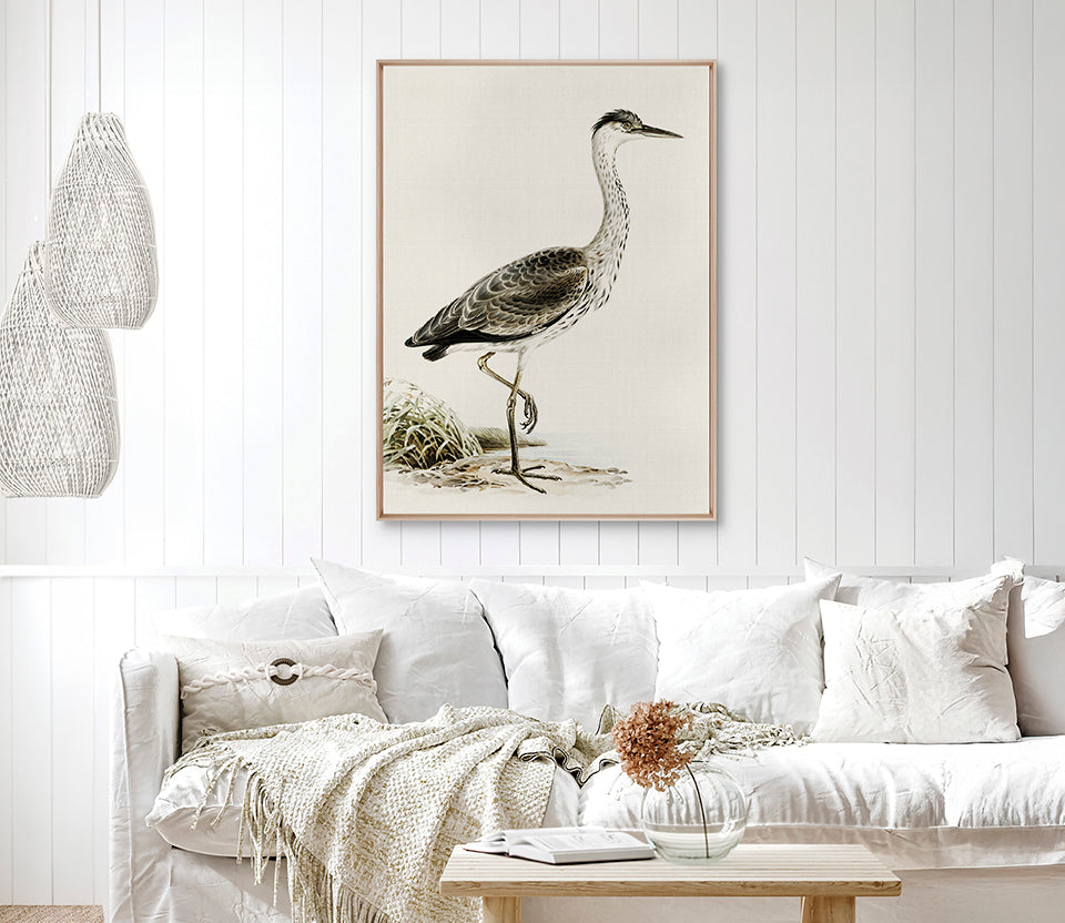Vintage Waterbird II (Canvas)