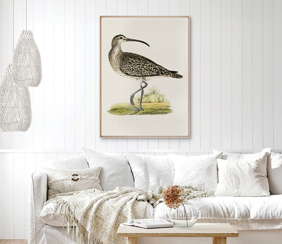 Vintage Waterbird V (Canvas)