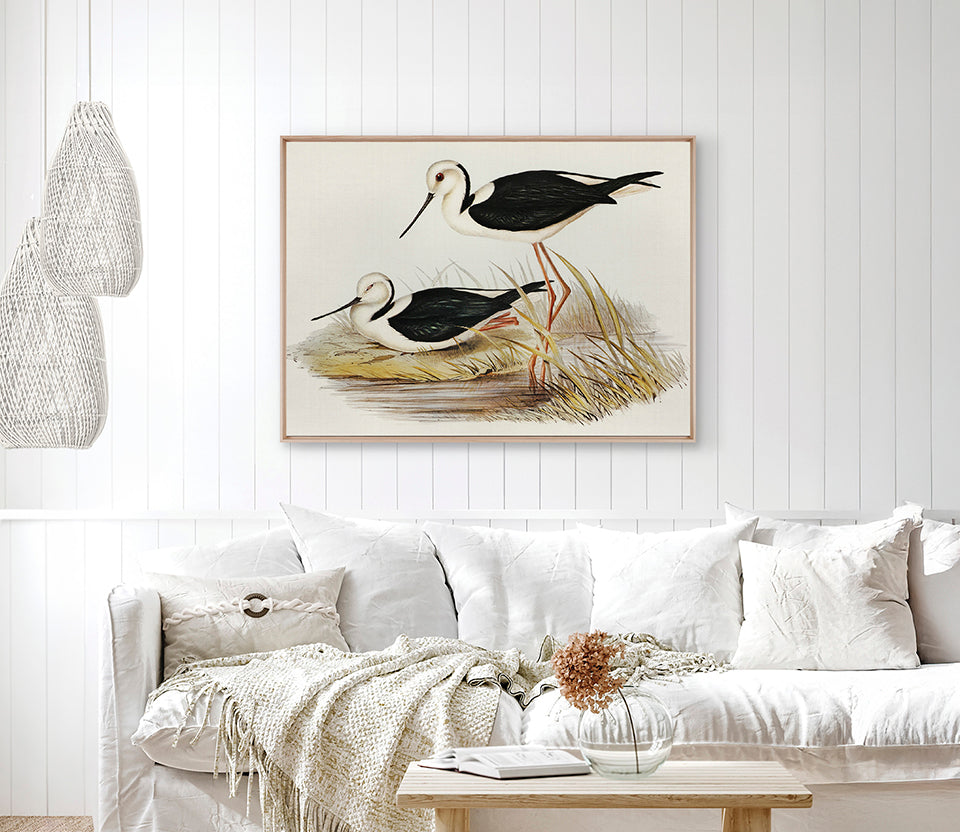 Vintage Waterbird VII (Canvas)