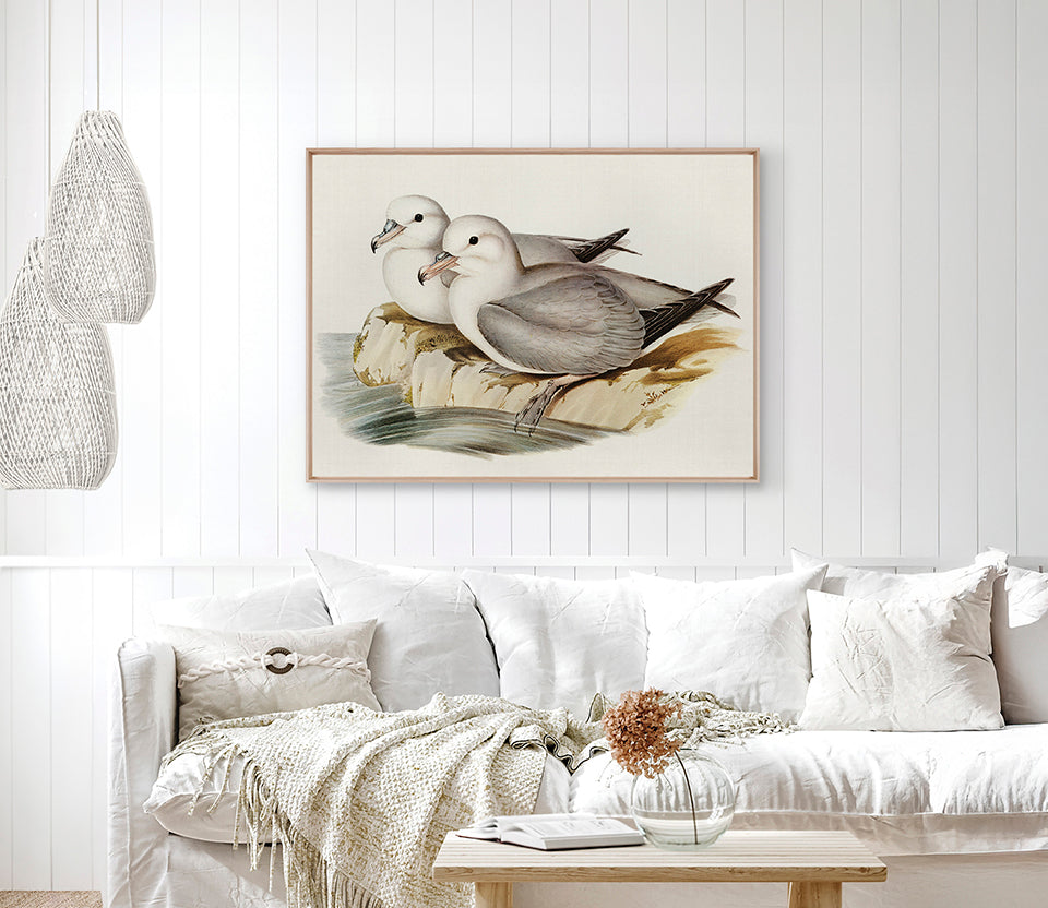 Vintage Waterbird VIII (Canvas)