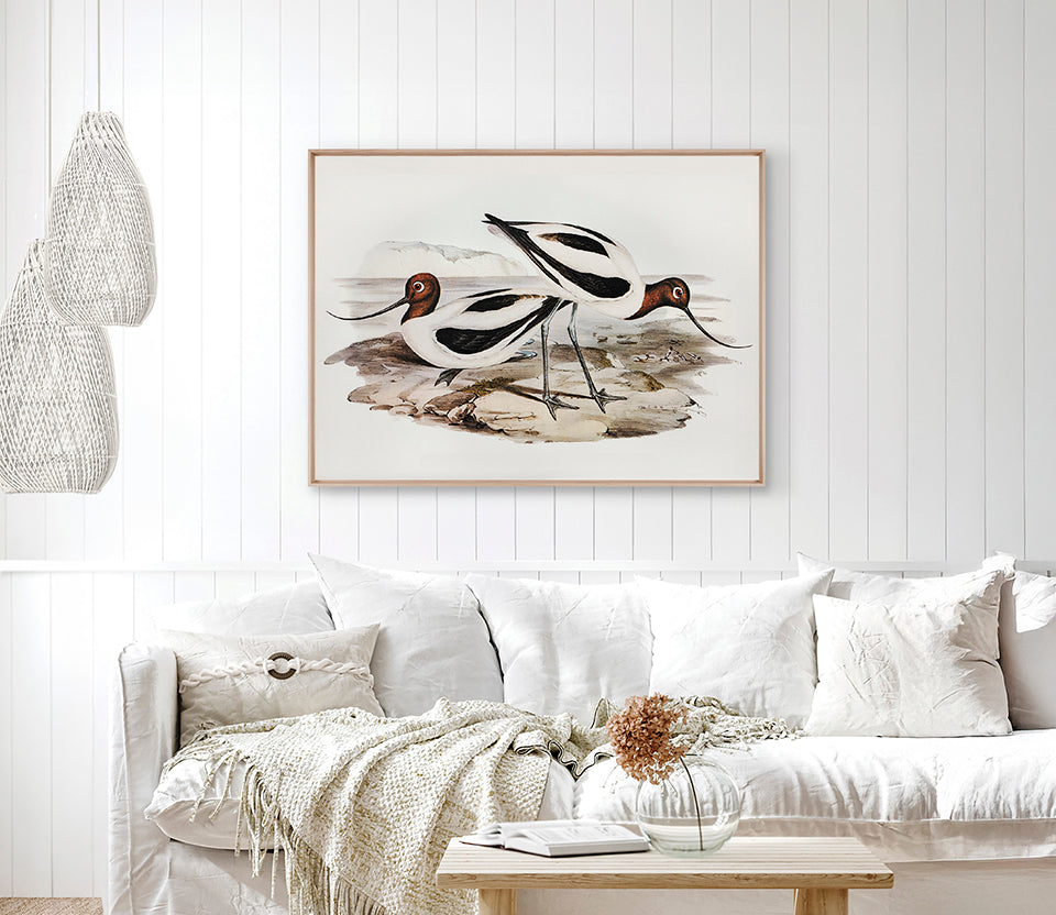 Vintage Waterbird IX (Canvas)
