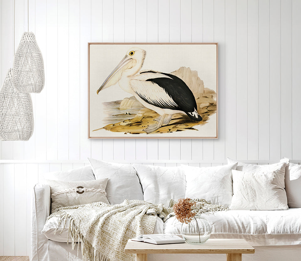 Vintage Waterbird X (Canvas)