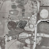 wallaw11_3