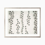 walp09_4