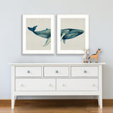 whale06_2