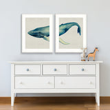whale08_2