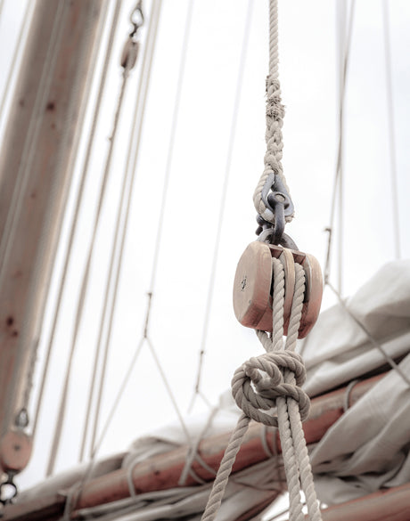 Whittington Sail III