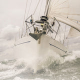 whitt04_3