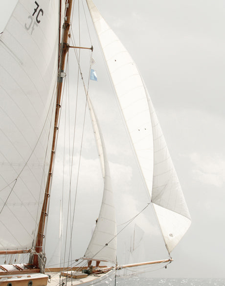 Whittington Sail VI (Canvas)