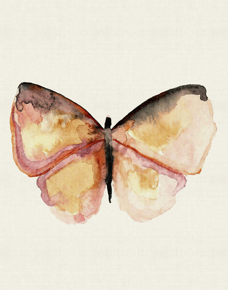 Delicate Butterfly III (Canvas)
